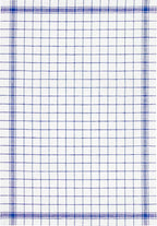 SET OF 3 PCS KITCHEN TOWELS , 100% COTTON , 60X80 CM